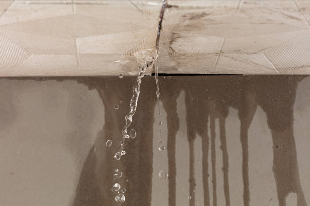 Professional Flood Damage Cleanup technician working in Monroe, MI